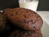 Biscuits tout simples au cacao (sans gluten)