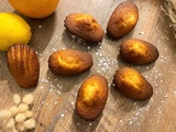 Madeleines de Claire Heitzlerg