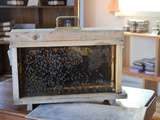 Miel et les abeilles … décryptés par Les Délices au Miel