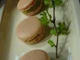 Macarons courgette Montlouis