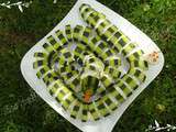 Serpent à concombre