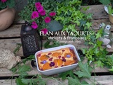 Flan aux yaourts, abricots et framboises