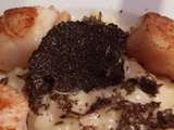 Risotto aux truffes noires du Périgord et noix de Saint-Jacques