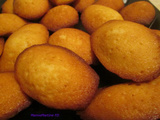 Madeleines au pamplemousse