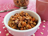 Granola chocolat (pour un petit déjeuner sain et gourmand)