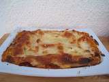 Lasagnes aubergines et aux fromages (ricotta, mozzarella, parmesan)