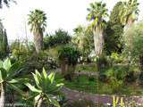 Bourse aux plantes de printemps au jardin botanique de Nice
