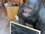 Vegan Gorilla : restaurant végétalien à Nice