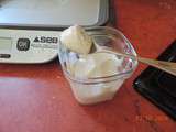Yaourts à la vanille très ferme (Multidélices)