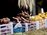 Comment conserver les fruits et légumes de l'automne