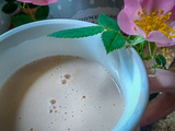 Crème anglaise à la fleur d'églantier (églantine)
