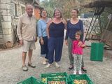 Cueillettes solidaires : quand les figues du jardin deviennent un geste de partage