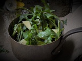 Dandelion soup, the wild kitchen
