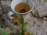Gelée de tilleul