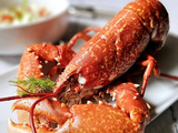 Homard vapeur et salade croquante au fenouil : un festin tout en délicatesse