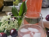 ✨ Limonade des Fées de Fin de Saison