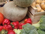Potiron Bleu de Hongrie : découvrez cette étonnante courge ancienne