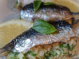 Sardines farcies au citron confit