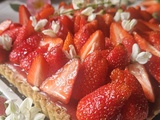 Tarte aux fraises, pâte sablée à la noisette, crème diplomate à la vanille & miroir fraise