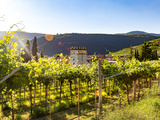 Vins du Gers & leurs accords gourmands