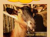 23è Fête de la chèvre à Rognes