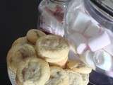 Cookies à la pralinoise arômatisés à la pistache