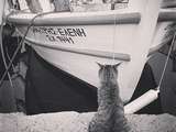 Greece & cats
#greece #seaside #cats #catsofgreece #fishermen #catsofinstagram #catsandfish