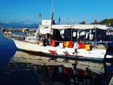 Greece & fishermen
#greece #autumn #seaside #boat #fishermen