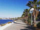 The place i love to be
#greece #seaside #autumn #αγιοιαποστολοι #agioi_apostoloi #kalamos