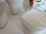 Yaourt maison au lait de coco