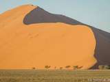 Paysage emblématique de Namibie: les dunes de Sossusvlei