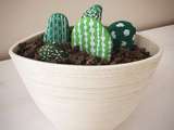 Diy. Les jolis cactus cailloux