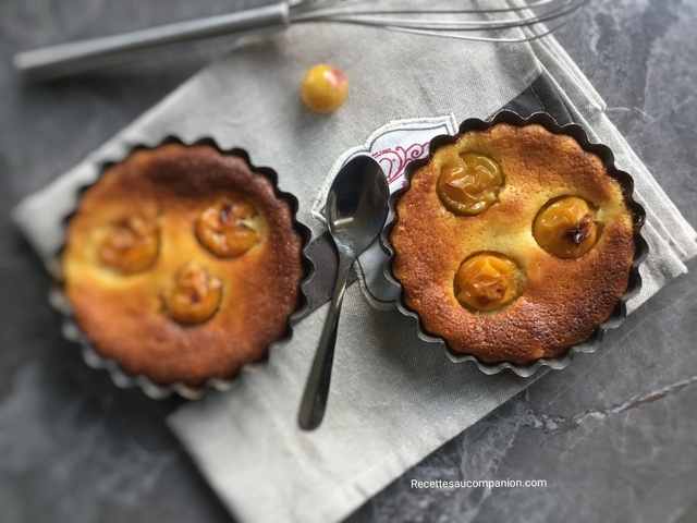 Recettes De Magimix