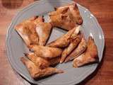Brick au poulet épicé - Les recettes de sandrine au companion ou pas