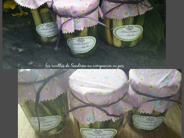 Les Meilleures Recettes de Conserve et Cornichon