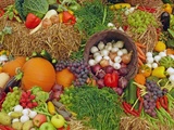Quels fruits et légumes consommer en octobre