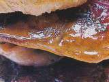 Hamburger de foie gras de canard aux figues