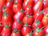 Coulis de tomates