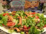 Salade de Aiguillettes de Poulet / Salada de Frango