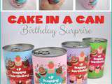 Cake in a Can Birthd