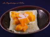 Riz gluant à la mangue (Khao Niao Mamuang)