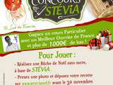 Grand jeux concours de bûches de noël à la Stévia