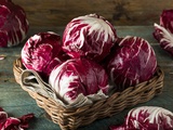 A Guide to Chicories, the Crunchy Greens (and Purples!)