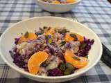 Salade de chou rouge et blanc, mandarines et graines de courge