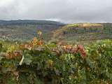 Balades au Nord du Portugal: Le Porto et les vins du Douro