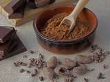 Du Cacao au Chocolat : Petite histoire et défis du 21º siècle