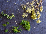 L’origan, une herbe très aromatique