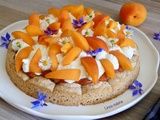 Tarte aux abricots sur dacquoise et chantilly mascarpone à la fleur d’oranger