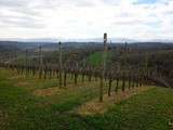 A la découverte du Béarn : Episode 1 – les vins du Jurançon