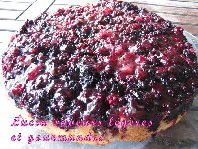 Recettes de Fecule de Pomme de Terre et Fromage Blanc